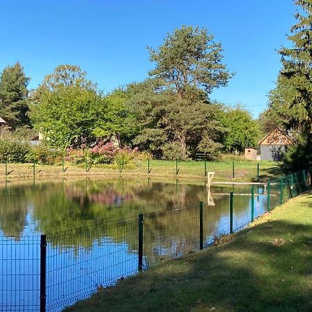 Luci Juras Apartamenti 2 Roja Buitenkant foto